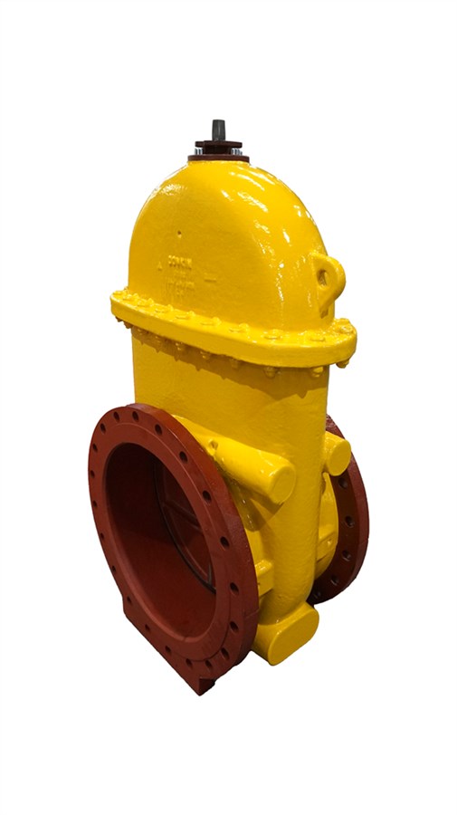 555_100 Donkin Cast Iron Gas Gate Valve PUR